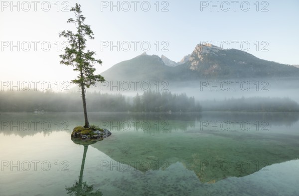 Magical sunrise with fog at Hintersee near Ramsau in Berchtesgadener Land