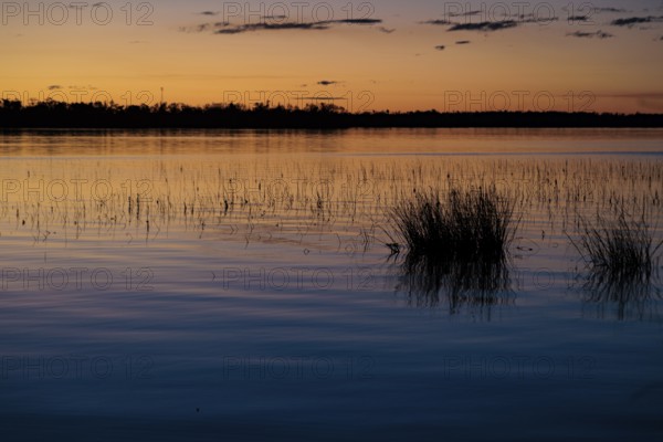 Marsh foliage silhouetted against a deep blue and orange sky at sunset on Lake Seminole at the Corps of Engineers Eastbank Campground near the Florida state line in Georgia