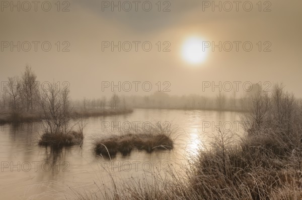 Bog in misty morning light, Lower Saxony, Germany