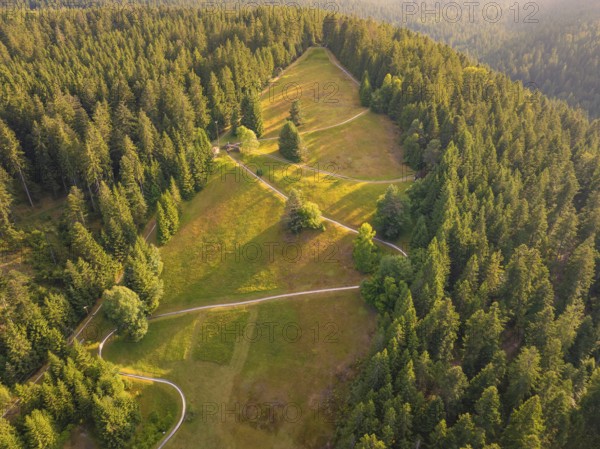 Green forests and fields with small paths and sunlight, Retro Freizeitpark Poppeltal giant slide, Enzklösterle, Black Forest, Germany