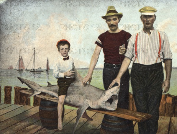 Two men and a boy pose with a shark. Child riding the shark. Presumably a Grey reef shark (Carcharhinus amblyrhynchos), ca. 1900, Florida, USA