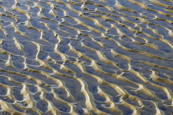 North Sea, Wadden Sea at low tide, wave-like structure, current ripples, Norddeich, Lower Saxony, Germany