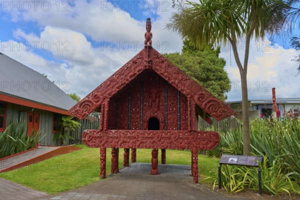 Small Maori building with red carvings surrounded by palm trees, New Zealand Maori Arts and Crafts Institute, Te Puia, Whakarewarewa, Rotorua, North Island, New Zealand