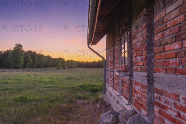 View along an outer wall of a half-timbered barn standing on a pasture in the sunset, meadow, spring, awakening, new, colours, season, landscape photo, nature photo, flora, fauna, landscape format, pasture, grasses, lowland, sky, clouds, Stöckse, Steimbke, Nienburg Weser, Lower Saxony