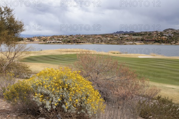 Colorful desert landscaping on a golf course along the shoreline of Las Vegas Wash at Lake Las Vegas in Henderson, Nevada, USA