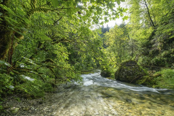 Wild and romantic Weißbach Gorge near Inzell