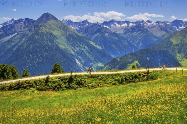 Hiking trail on the Penken, Mayrhofen, Zillertal, Zillertal Alps, Tyrol, Austria