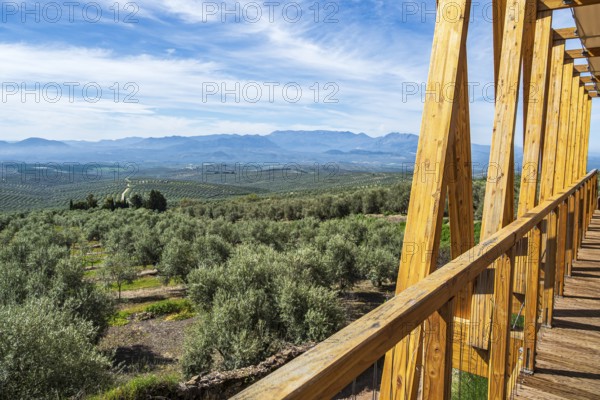 Wooden viewing platform, city Ubeda, view over endless olive tree fields to distant mountains, Ubeda, Andalusia, Spain