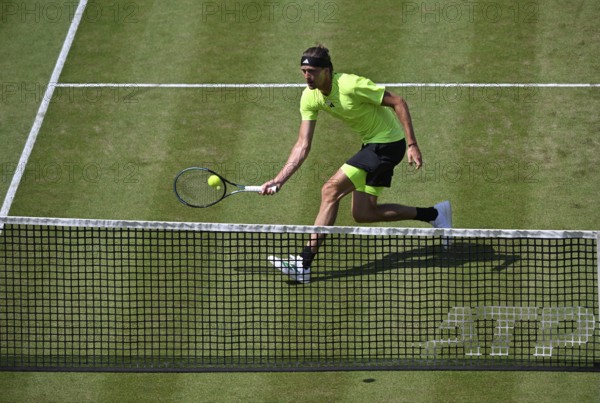 Alexander Zverev GER, Action, Tennis, ATP 250, BOSS Open 2025, Stuttgart, Baden-Württemberg, Germany