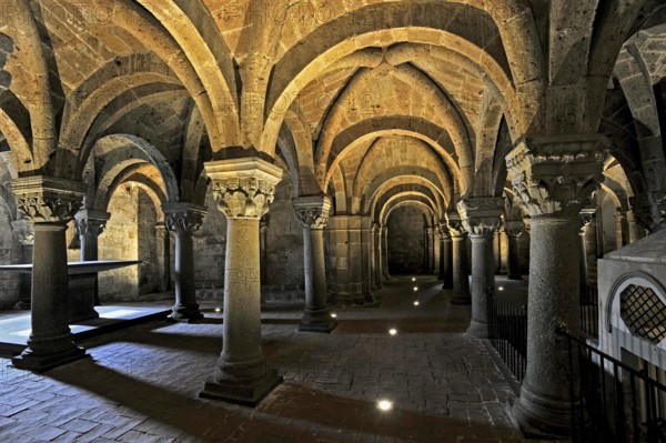 Vault, altar, columns, capitals and canopy in the underground grove of columns, pagan crypt, 10th century, atmospheric lighting, dramatic, Cathedral of Acquapendente, Basilica of the Holy Sepulchre, Basilica Santo Sepolcro, Basilica minor, Aquapendente, Province of Viterbo, Lazio, Italy