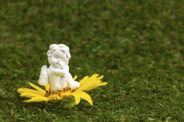 Small angel figure sitting on a yellow flower on a green lawn