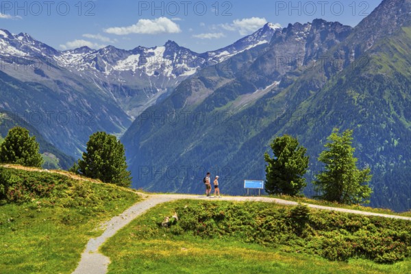 Hiking trail on the Penken with a view of the Stilluptal, Mayrhofen, Zillertal, Zillertal Alps, Tyrol, Austria