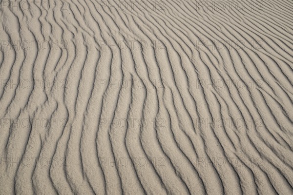 Wave-like wind-formed sand structures in close-up, Hvide Sande, North Sea, Denmark