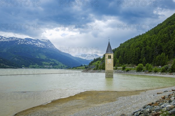 Bell tower of the former parish church of St Catherine in the sunken village of Alt-Graun in Lake Reschen in Vinschgau, South Tyrol, Italy