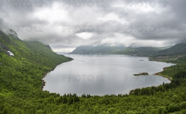 Cloudy fjord landscape with forest, Senja Island, Norway