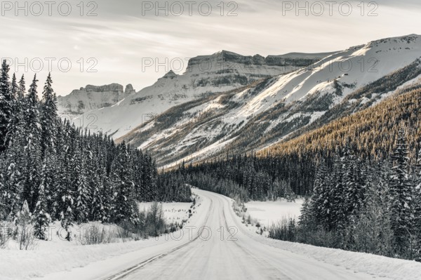 Winter road trip on the Icefields Parkway with lots of snow and ice, Banff National Park, Jasper National Park, Alberta, Canada