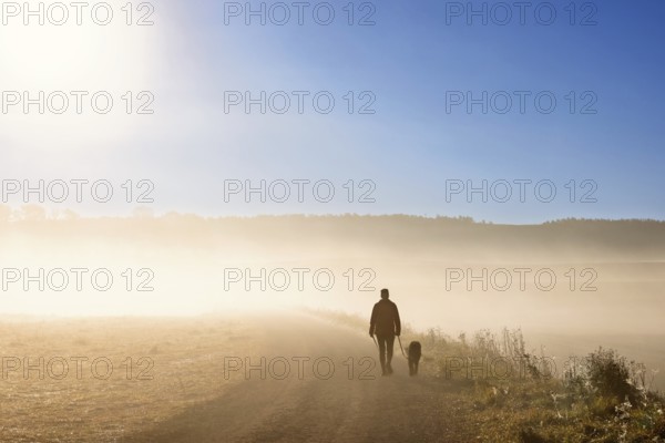 One person walking the dog on a gravel road with morning fog in a rural landscape in autumn