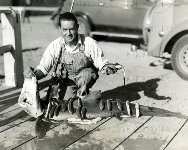 Fisherman posing with catch, blue shark (Carcharhinus glaucus), pregnant female with many young, cruel, surprise, Long Beach, California, 5 Nov. 1936