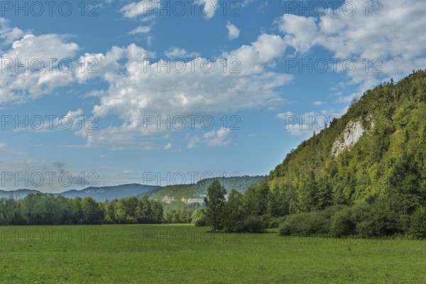 A huge green meadow stretches into the distance, lined with dense forests and rocky hills under a bright blue sky. White clouds drift gently overhead, creating a serene atmosphere. Jura, France