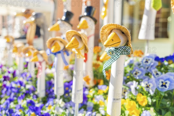 Colourful duck figures with straw hats surrounded by flowers, garden and ceramics Nagold, district of Calw, Germany