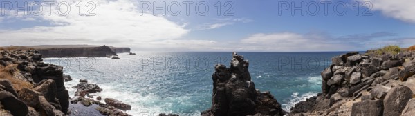 Coast, Galapagos, Ecuador