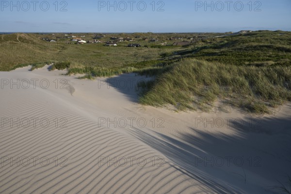 Dunes, wind-sculpted wave patterns in the sand, standing grass, dune landscape, holiday settlement, blue sky, Hvide Sande, North Sea, Denmark