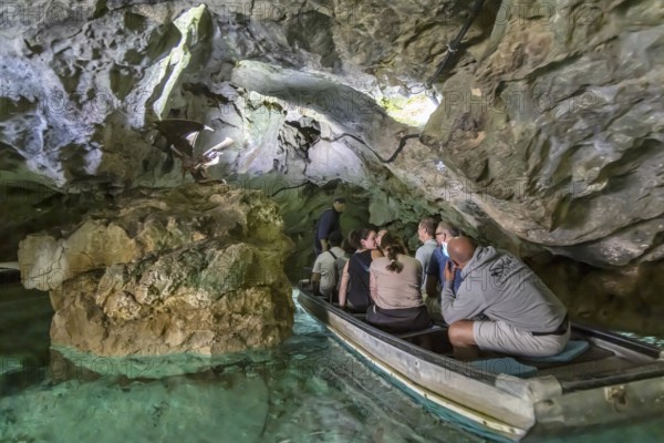 Excursion destination Wimsen Cave in the Swabian Alb. This tourist attraction is the only cave in Germany that can be accessed by boat. Origin of the Zwiefalter Ach. Hayingen, Baden-Württemberg, Germany