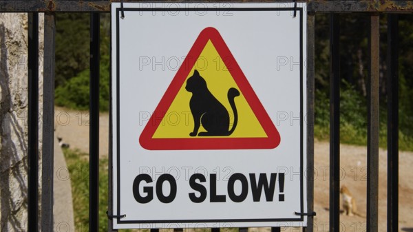 Traffic sign with cat and message 'Go Slow!' in a frame, Kalithea, cat station, Rhodes, Dodecanese, Greek Islands, Greece