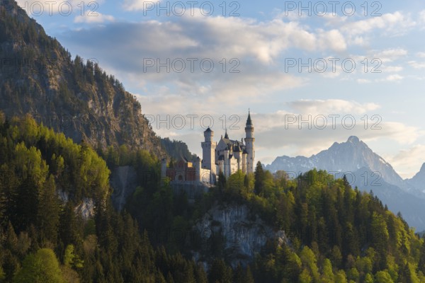 Towering castle in front of an Alpine panorama in daylight, Neuschwanstein, Schwangau near Füssen, Ostallgäu district, Swabia, Bavaria, Germany
