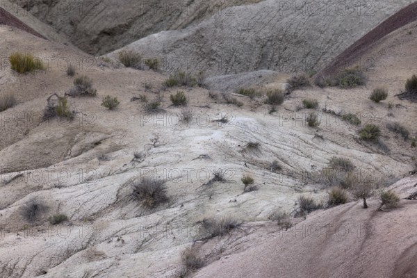 Colorful deposits of the Chinle Formation exposed at Little Painted Desert County Park near Winslow, Arizona