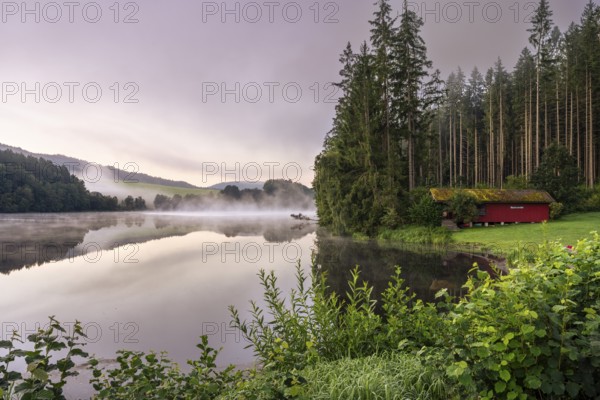 Lake Blaibach on a cloudy morning. Fog over the lake, rising water vapour. Blaibach, district of Cham, Upper Palatinate, Bavarian Forest, Bavaria, Germany
