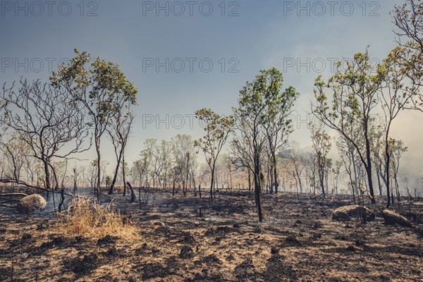 Bushfires in the Australian outback