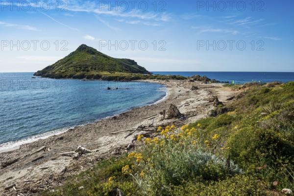 Wild beach, Sentier du littoral, Plage Ranc, Cap Taillat, Saint Tropez, Var, French Riviera, Provence-Alpes-Cote d'Azur, Cote d Azur, France