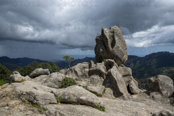 Hiking trail to the Cascade de Piscia di Gallo waterfall, Piscia di Ghjaddu, Alta Rocca, Corsica, France