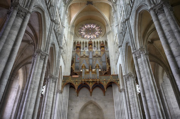 Interior view, west gallery, main organ, rose window, Cathédrale Notre-Dame d'Amiens, Amiens, Somme, France