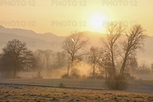 Meadows and trees in the early morning mist in the light of the rising sun, Reusstal, Aristau, Freiamt, Canton Aargau, Switzerland