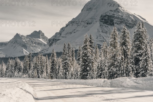 Winter road trip on the Icefields Parkway with lots of snow and ice, Banff National Park, Jasper National Park, Alberta, Canada