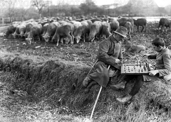 Shepherd playing chess with boys, ca. 1920, Two shepherds playing chess on a field, surrounded by a flock of sheep, historical photo