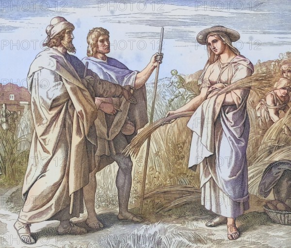 Biblical story, Ruth cleaning in the field of Boaz, a Judean landowner from Bethlehem, digitally enhanced reproduction of a wood engraving by Julius Schnorr von Carolsfeld, historical, around 1860, exact date unknown