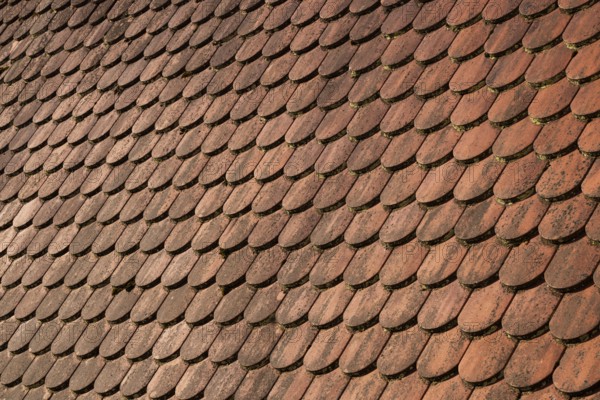 Red shingle roof, house roof, detail, Steyr, Upper Austria, Austria