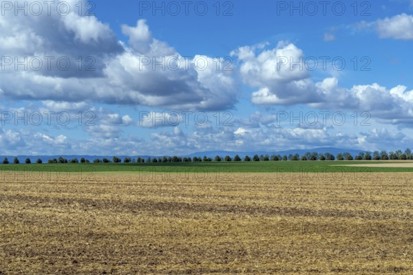 Saxony-Anhalt, Brocken, summit, Harz, northern Germany, weather, cumulus, field, agriculture, tree row, Harz foreland, northern, Halberstadt
