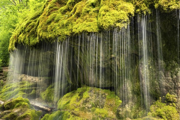 The Dietfurt waterfall, moss and stones, long exposure, Wutach Gorge, Black Forest, Baden-Württemberg, Germany