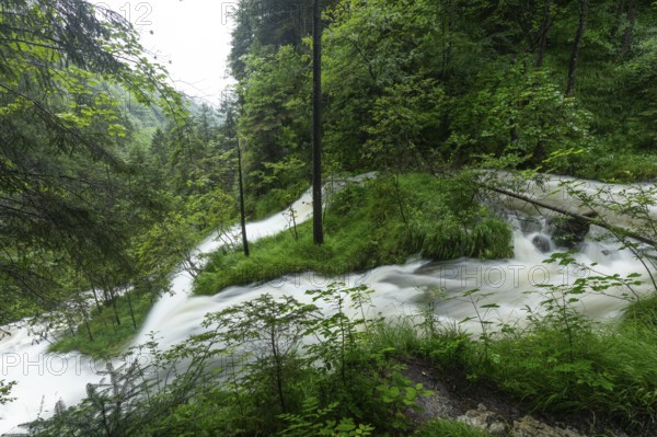 Magical waterfalls in the Weißbachtal valley near Inzell after heavy rain