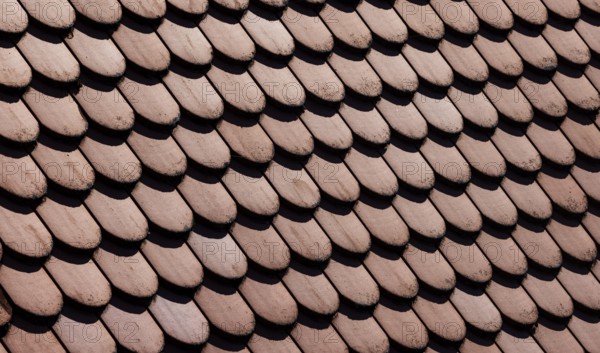 Red shingle roof, house roof, detail, Steyr, Upper Austria, Austria