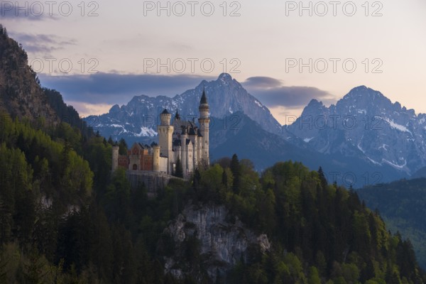 Neuschwanstein Castle after sunset with alpine landscape, Schwangau near Füssen, Ostallgäu district, Swabia, Bavaria, Germany