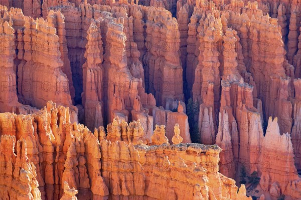 Bryce Canyon, Bryce Canyon National Park, Utah, USA