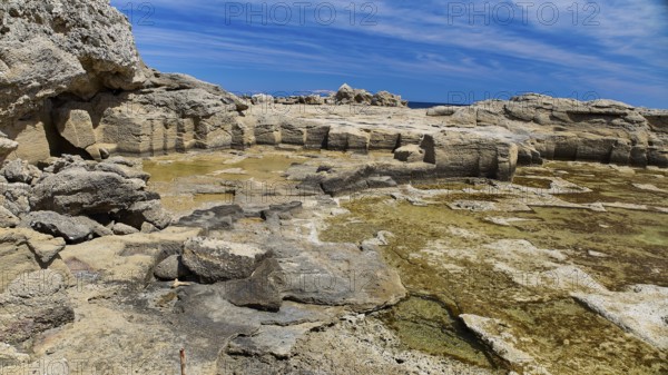 Rocks and seaweed on the coast under a clear sky, Oasis Beach, East Coast Rhodes, Rhodes, Dodecanese, Greek Islands, Greece