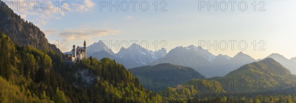 Wide panoramic landscape with castle and alpine background, Neuschwanstein, Schwangau near Füssen, Ostallgäu district, Swabia, Bavaria, Germany