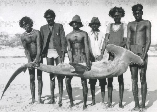Six arborigines posing with a captured adult scalloped hammerhead shark, (Sphyrna lewini) 1930, Australia