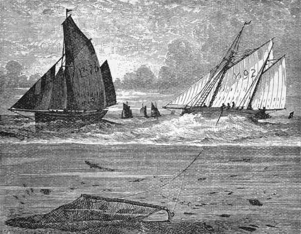 Underwater view of a trawl net attached to a fishing boat (boat), English fishing waters, around 1870, England, digital reproduction of a historical model